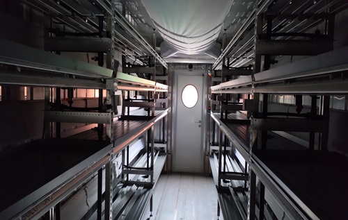 Eliven Tropical 2 Eliven Tropical 2