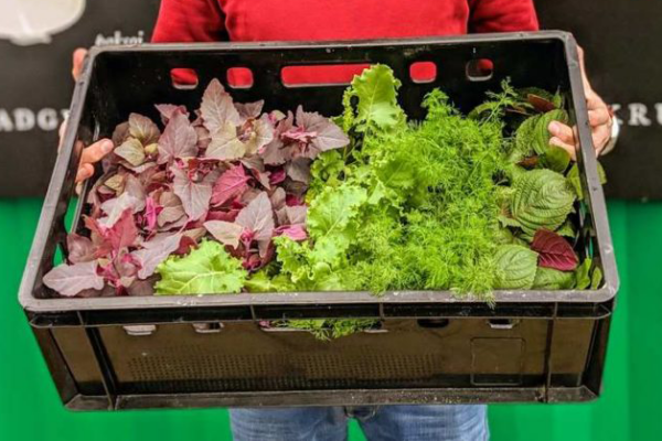 PLNT-be-UCS PLNT-be-UCS