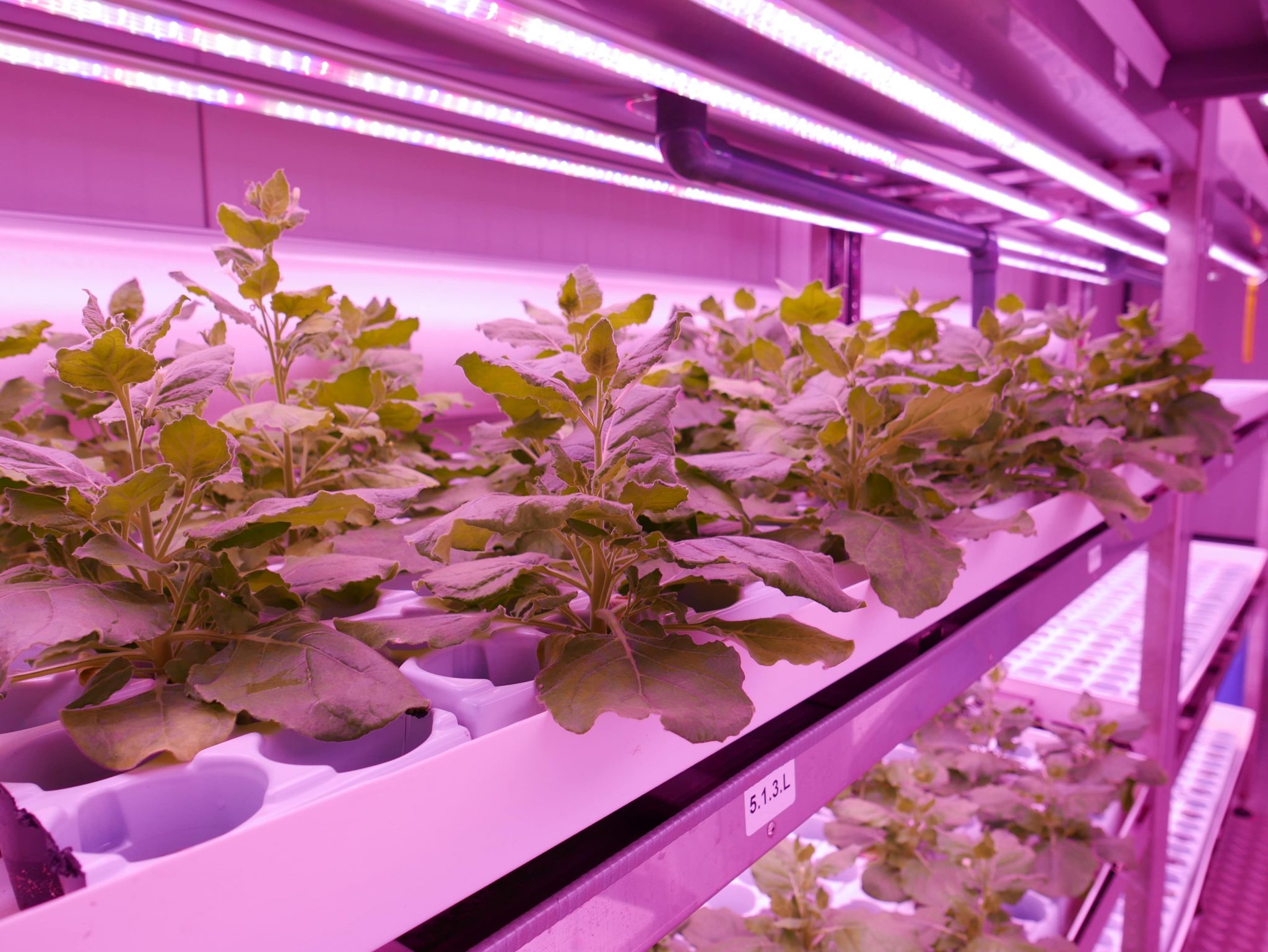 Urban Crop Solutions Ranked #4 in Fact Company's List of Most ...